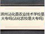 滨州沾化县农业技术学校是大专吗(沾化农校是大专吗)