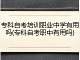 专科自考培训职业中学有用吗(专科自考职中有用吗)