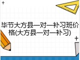 毕节大方县一对一补习班价格(大方县一对一补习)