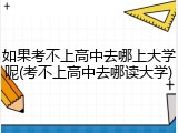 如果考不上高中去哪上大学呢(考不上高中去哪读大学)