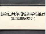 鹤壁山城单招培训学校推荐(山城单招培训)
