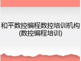 和平数控编程数控培训机构(数控编程培训)