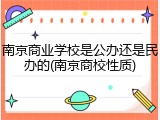 南京商业学校是公办还是民办的(南京商校性质)