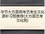 毕节大方县高考艺考生文化课补习班推荐(大方县艺考文化班)
