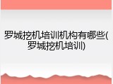 罗城挖机培训机构有哪些(罗城挖机培训)