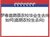 伊春嘉荫县农校毕业生去向如何(嘉荫农校生去向)