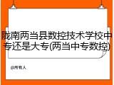 陇南两当县数控技术学校中专还是大专(两当中专数控)