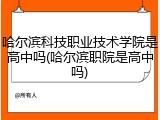哈尔滨科技职业技术学院是高中吗(哈尔滨职院是高中吗)