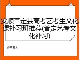 安顺普定县高考艺考生文化课补习班推荐(普定艺考文化补习)
