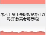 考不上高中走职教高考可以吗(职教高考可行吗)