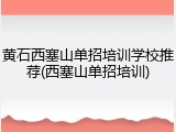 黄石西塞山单招培训学校推荐(西塞山单招培训)