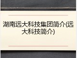 湖南远大科技集团简介(远大科技简介)
