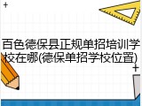 百色德保县正规单招培训学校在哪(德保单招学校位置)