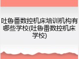 吐鲁番数控机床培训机构有哪些学校(吐鲁番数控机床学校)