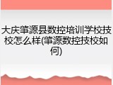 大庆肇源县数控培训学校技校怎么样(肇源数控技校如何)