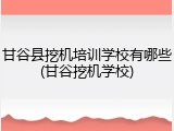 甘谷县挖机培训学校有哪些(甘谷挖机学校)