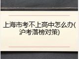 上海市考不上高中怎么办(沪考落榜对策)