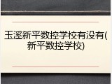 玉溪新平数控学校有没有(新平数控学校)