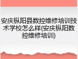 安庆枞阳县数控维修培训技术学校怎么样(安庆枞阳数控维修培训)
