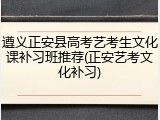 遵义正安县高考艺考生文化课补习班推荐(正安艺考文化补习)