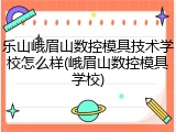 乐山峨眉山数控模具技术学校怎么样(峨眉山数控模具学校)