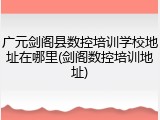 广元剑阁县数控培训学校地址在哪里(剑阁数控培训地址)