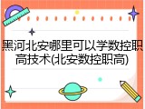 黑河北安哪里可以学数控职高技术(北安数控职高)