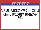 盐城射阳县数控加工培训班技校有哪些(射阳数控培训班)