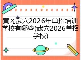 黄冈武穴2026年单招培训学校有哪些(武穴2026单招学校)