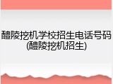 醴陵挖机学校招生电话号码(醴陵挖机招生)