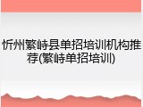 忻州繁峙县单招培训机构推荐(繁峙单招培训)