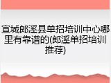 宣城郎溪县单招培训中心哪里有靠谱的(郎溪单招培训推荐)
