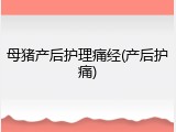 母猪产后护理痛经(产后护痛)