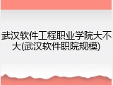 武汉软件工程职业学院大不大(武汉软件职院规模)