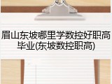 眉山东坡哪里学数控好职高毕业(东坡数控职高)