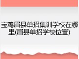 宝鸡眉县单招集训学校在哪里(眉县单招学校位置)
