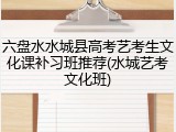 六盘水水城县高考艺考生文化课补习班推荐(水城艺考文化班)