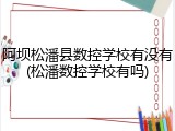 阿坝松潘县数控学校有没有(松潘数控学校有吗)
