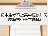 初中生考不上高中应该如何选择(初中升学选择)