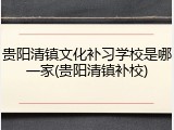 贵阳清镇文化补习学校是哪一家(贵阳清镇补校)