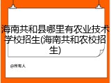 海南共和县哪里有农业技术学校招生(海南共和农校招生)