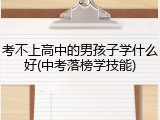 考不上高中的男孩子学什么好(中考落榜学技能)