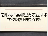 南阳桐柏县哪里有农业技术学校啊(桐柏县农校)
