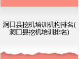 洞口县挖机培训机构排名(洞口县挖机培训排名)