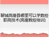 聊城高唐县哪里可以学数控职高技术(高唐数控培训)