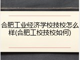 合肥工业经济学校技校怎么样(合肥工校技校如何)