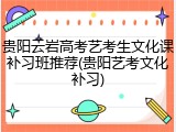 贵阳云岩高考艺考生文化课补习班推荐(贵阳艺考文化补习)