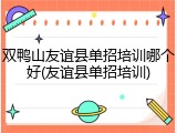 双鸭山友谊县单招培训哪个好(友谊县单招培训)