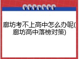 廊坊考不上高中怎么办呢(廊坊高中落榜对策)