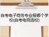 自考电子商务专业报哪个学校(自考电商选校)